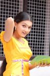 Malayalam Actress Saranya Mohan Photos 8157