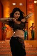 Shruthi Haasan Heroine Photos 8248