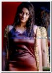 Sneha Still 10