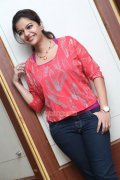 2014 Photos South Actress Swathi Reddy 6256