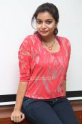 Movie Actress Swathi Reddy Oct 2014 Galleries 2163