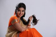 New Gallery Indian Actress Swathi Reddy 845