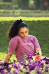 Swetha Menon 347