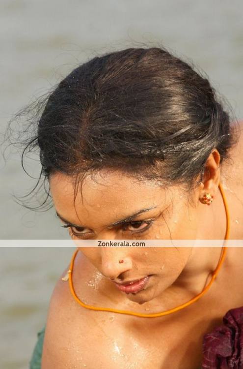 Swetha Menon Hot Stills 6