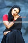 Swetha Menon Spicy Photo12