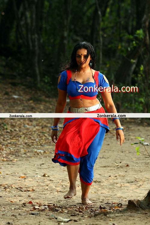 Swetha Menon Spicy Photo8