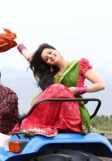 Actress Vedhika 6367