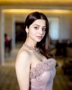 Recent Stills South Actress Vedhika 7204