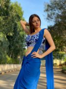 Vedhika Film Actress New Gallery 7669