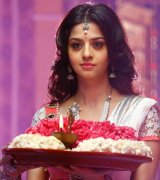 Vedhika Indian Actress Jun 2020 Stills 9178