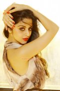 Vedhika South Actress 2015 Albums 3084