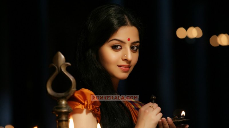 Vedhika Stills 7370