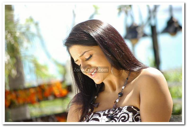 Actress Vimala Raman 30