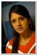 Actress Vimala Raman Pictures 25