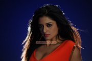 Actress Vimala Raman Stills 1700