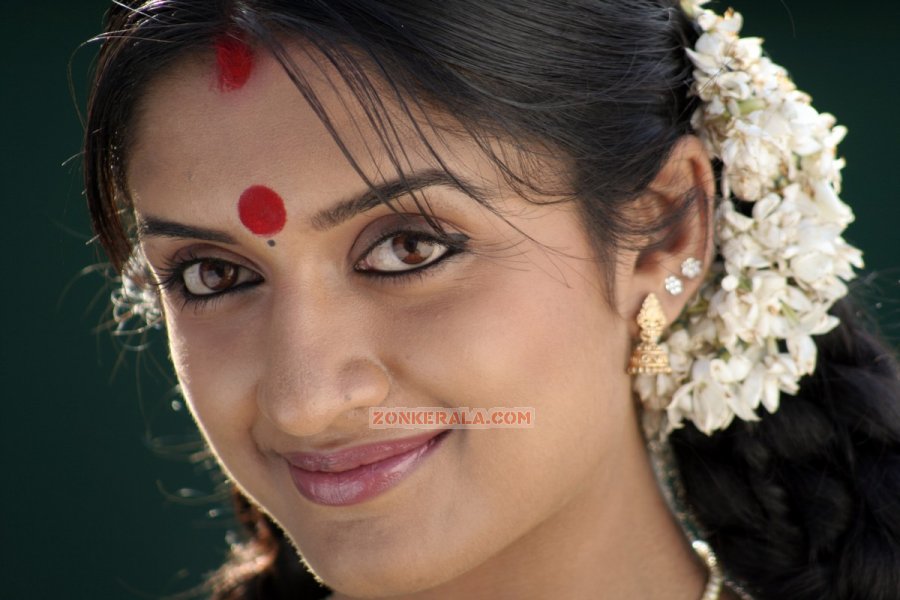 Actress Vimala Raman Stills 4824