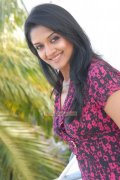 Malayalam Actress Vimala Raman Stills 6613