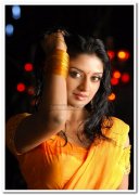 Vimala Raman Photos 11