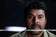 Mammootty In Bombay March 12 Movie 1