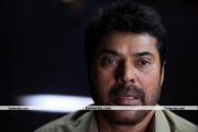 Mammootty In Bombay March 12 Movie 5