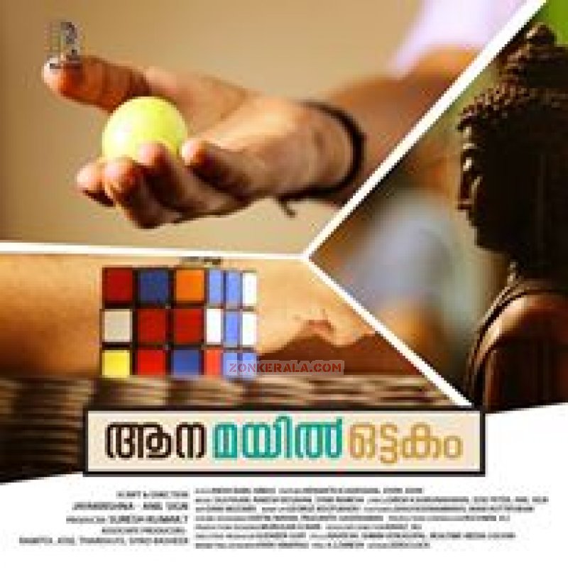 Aana Mayil Ottakam Malayalam Film Oct 2015 Image 2012