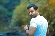 Adam Joan Malayalam Movie Aug 2017 Albums 3327