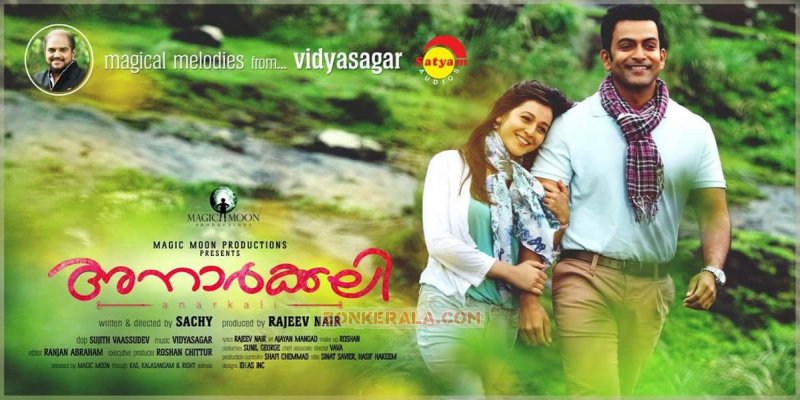 Anarkali Malayalam Cinema New Still 2936