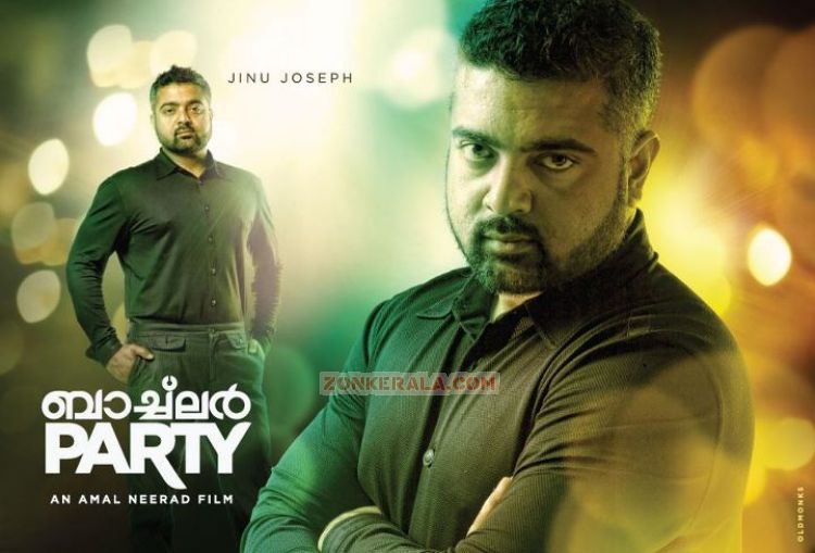 Jinu Joseph In Bachelor Party 671