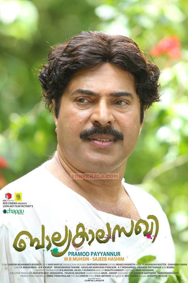 Malayalam Movie Balyakalasakhi 5673