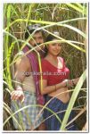 Mohanlal And Bhumika Chawla Photo 4