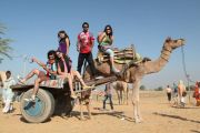 Camel Safari 8945