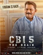 Cbi 5 The Brain