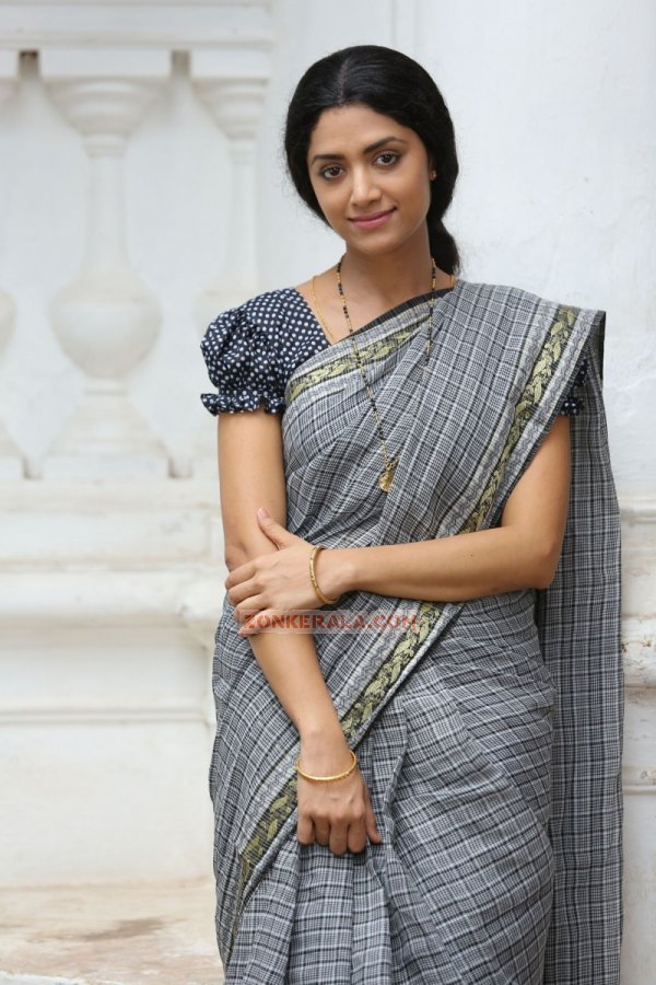 Mamta Mohandas In Celluloid 600