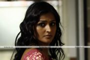 Remya Nambeesan 2