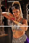 Malayalam Cleopatra Actress Hot Photo 2