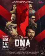 New Picture Dna 6302