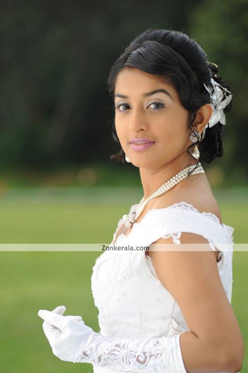 Index of /images/events/meera-jasmine-marriage-photos