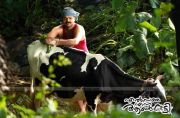 Kunchacko Boban Still 5