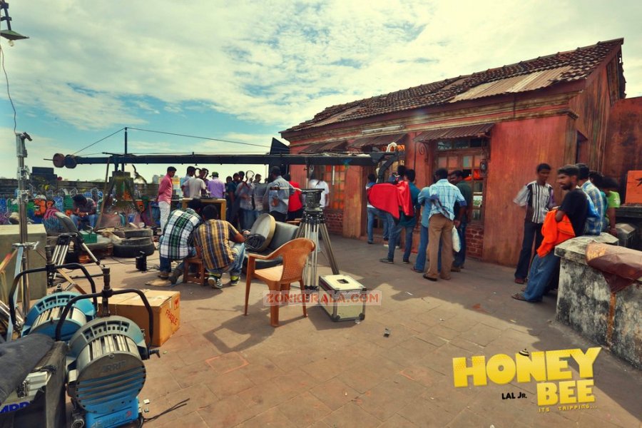 Honey Bee Working Still 72