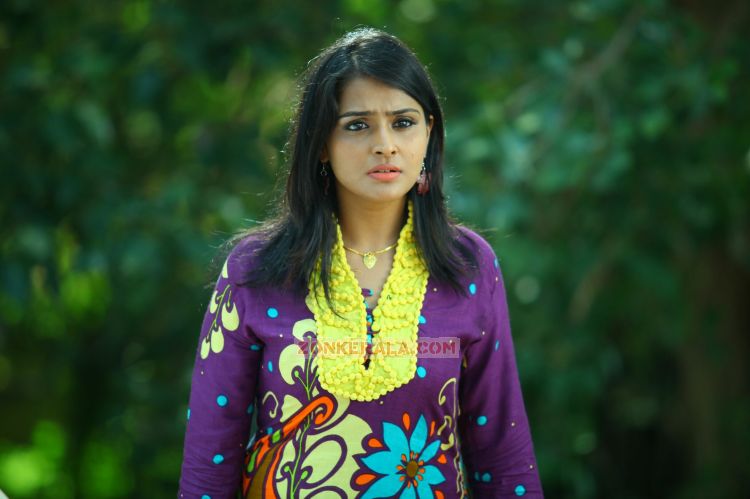 Remya Nambeesan In Husbands In Goa 562