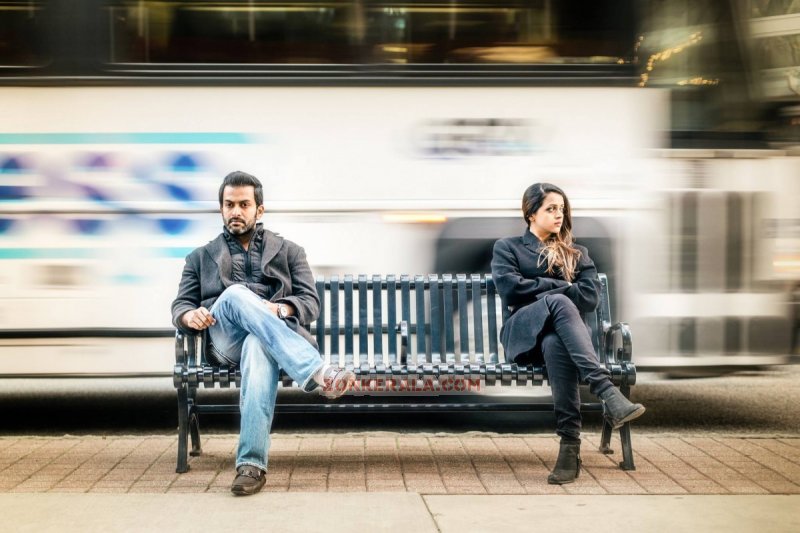 Prithviraj Bhavana In Ivide 247
