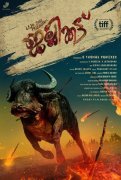 Malayalam Film Jallikettu Aug 2019 Album 3661