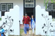 Prithviraj Vedhika Movie James And Alice 655