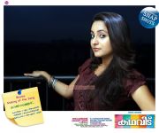 Bhama Kadha Veedu Poster 951