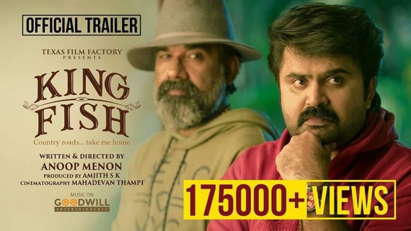 Latest Albums King Fish Malayalam Cinema 7352