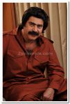 Mammootty In Kuttyshranku 2