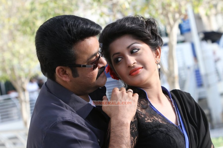 Malayalam Movie Ladies And Gentlemen Photos 3607