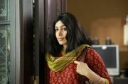 Padmapriya In Ladies And Gentlemen 240