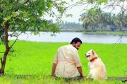 Movie Gallery Jayasurya Lal Bahadur Sastri 310