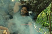Malayalam Film Lord Livingstone 7000 Kandi 2015 Wallpaper 6748